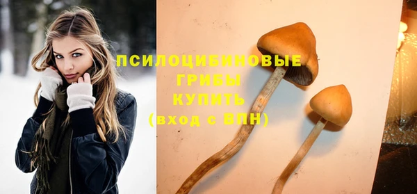 бошки Белоозёрский