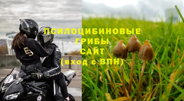 гашиш Белокуриха