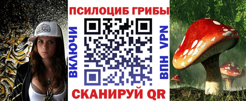 Галлюциногенные грибы прущие грибы omg рабочий сайт Сатка