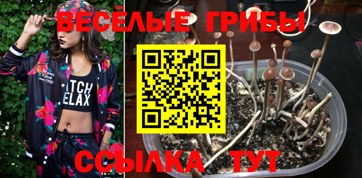 APVP Сатка