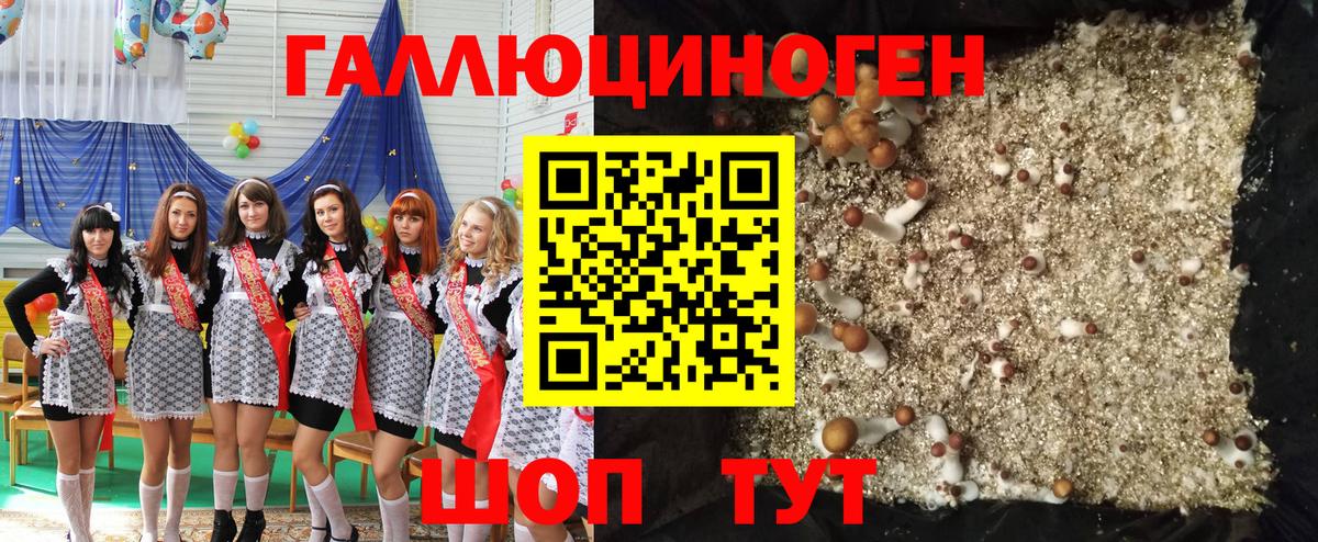Псилоцибиновые грибы Cubensis  Вход с VPN  Сатка 
